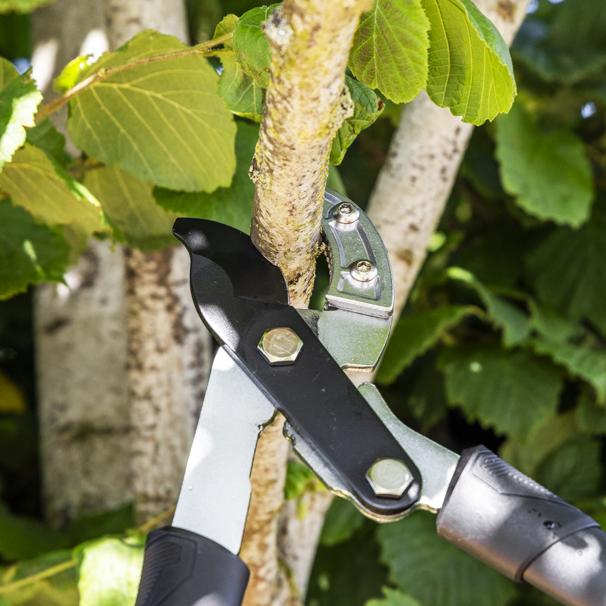 Sealey GTSG015 Anvil Lopping Shears with Soft Grip Handle, Geared & Carbon Steel Blade