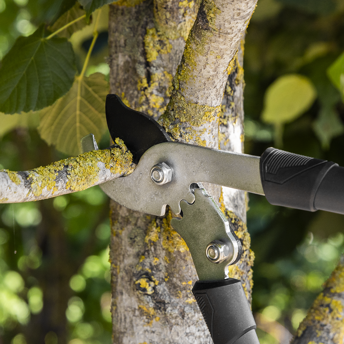 Sealey GTSG016 Telescopic Bypass Lopping Shears with Soft Grip Handle, Geared & Carbon Steel Blade