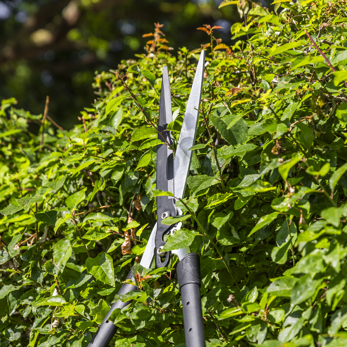 Sealey GTSG019 Telescopic Hedge Shears with Soft Grip Handle & Carbon Steel Blade