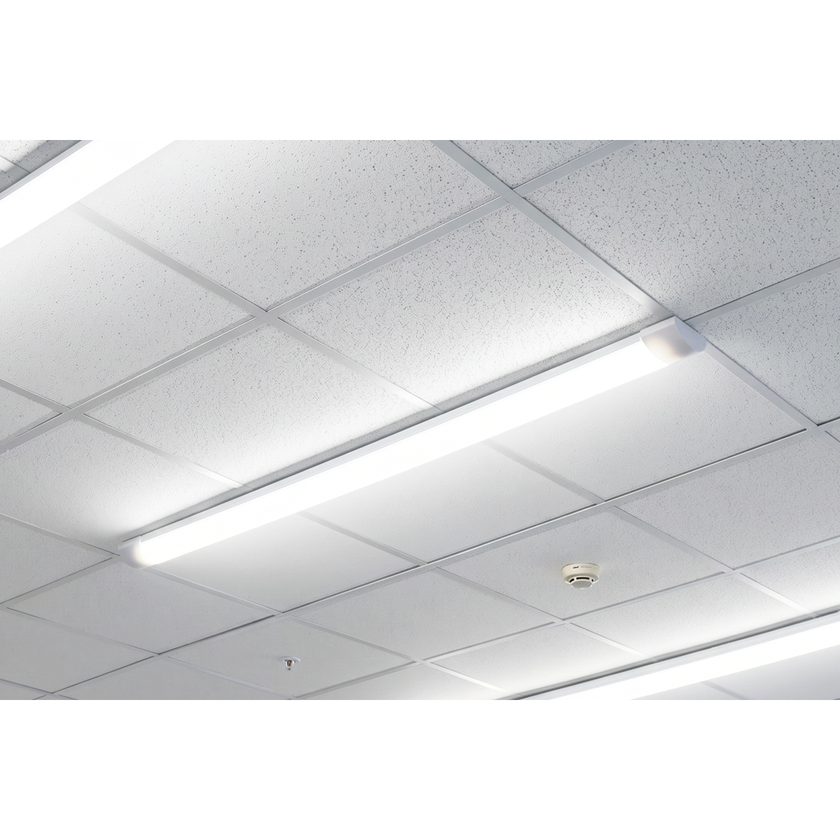 Sealey LED50BL 5ft Batten Light 50W SMD LED 230V