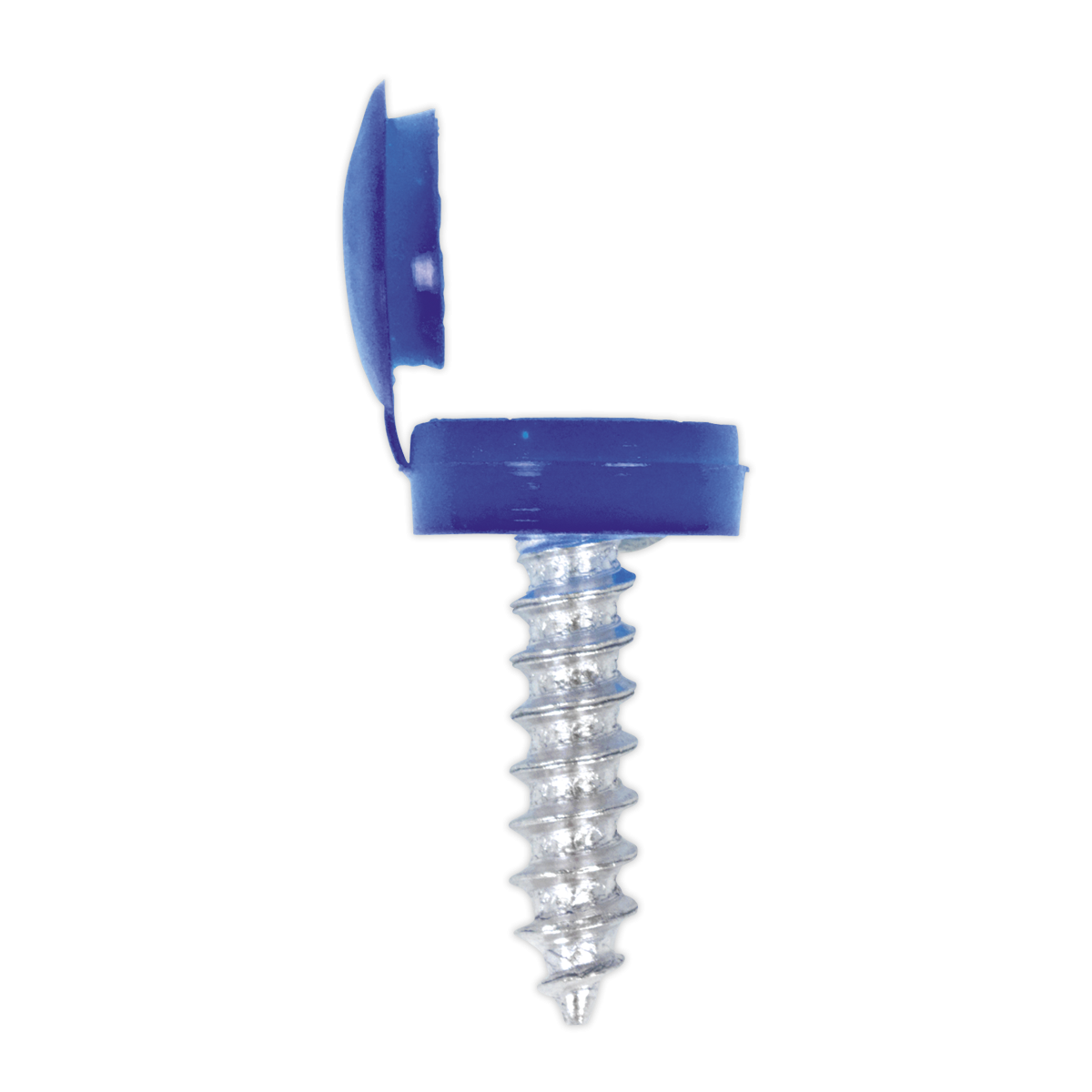 Sealey NPSSET Clip Strip Deal - Mixed Numberplate Screws