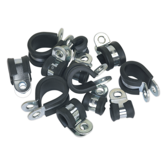Sealey PCJASS Rubber Lined P-Clip Assortment 60pc