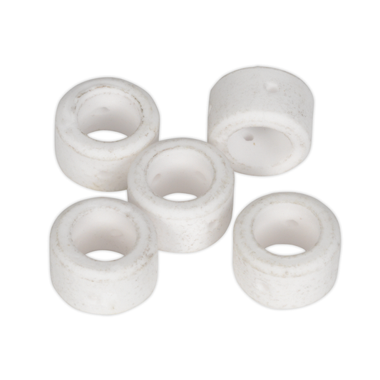 Sealey PP40E.D Diffuser for PP40E - Pack of 5