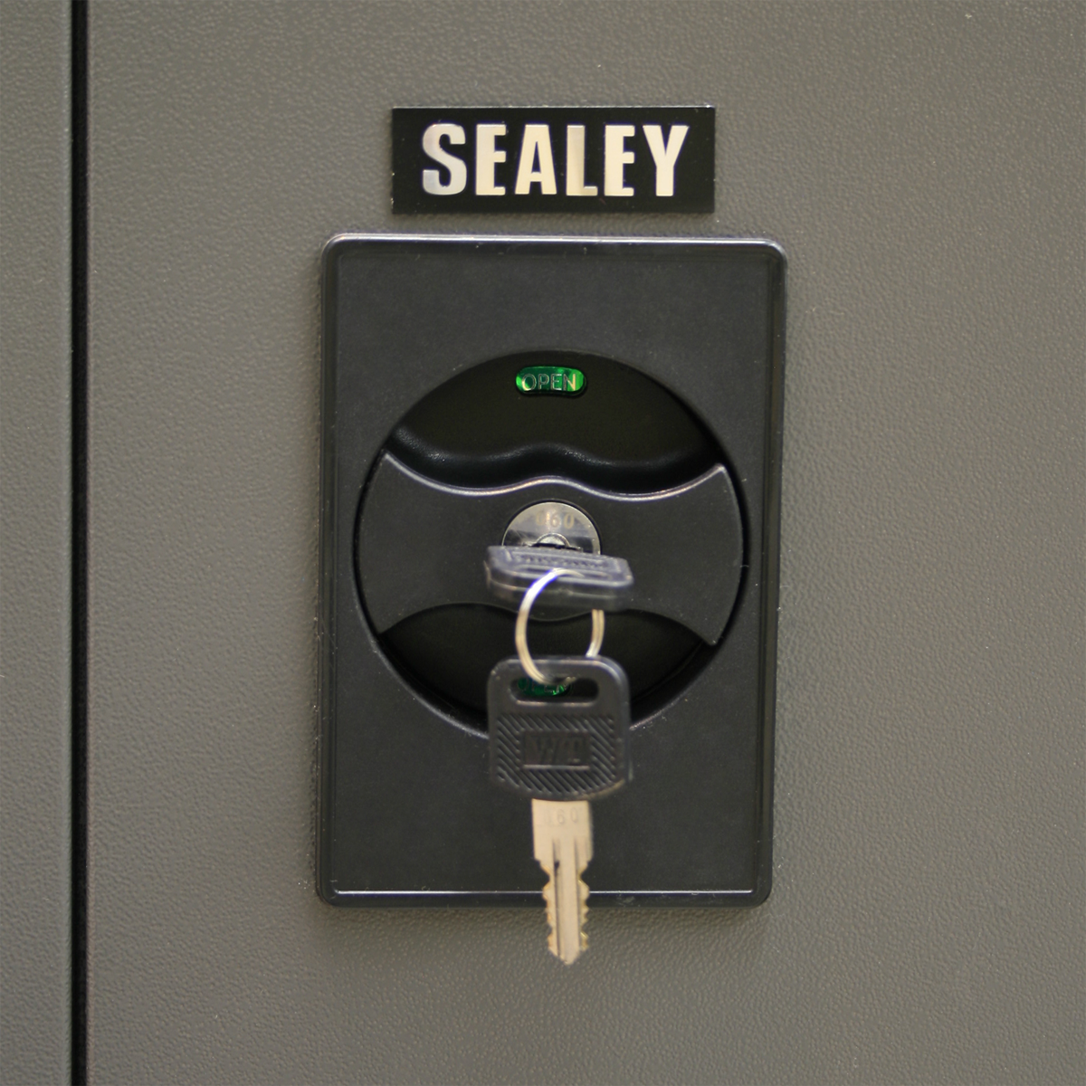 Sealey SC02 Floor Cabinet 2 Door 4 Shelf & Hanging Rail