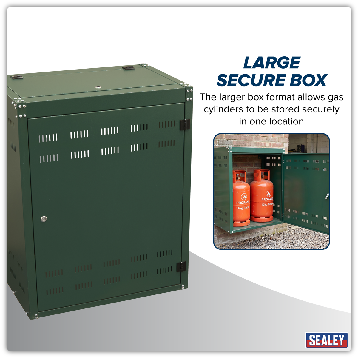Sealey SGCSC219 Solid Gas Cylinder Safety Cabinet - 2 x 19kg