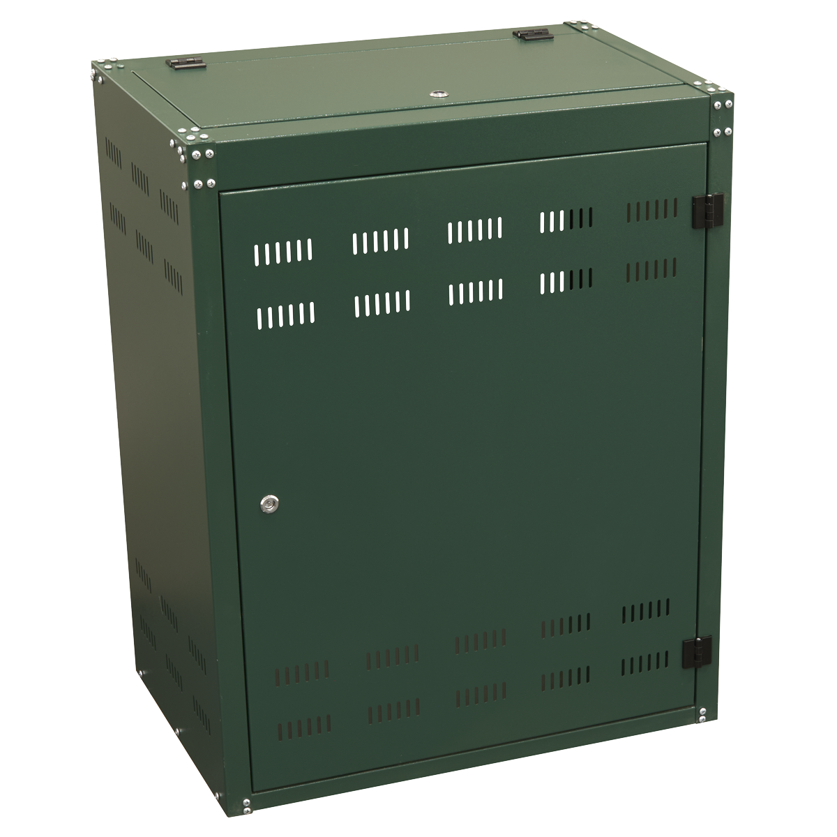 Sealey SGCSC219 Solid Gas Cylinder Safety Cabinet - 2 x 19kg