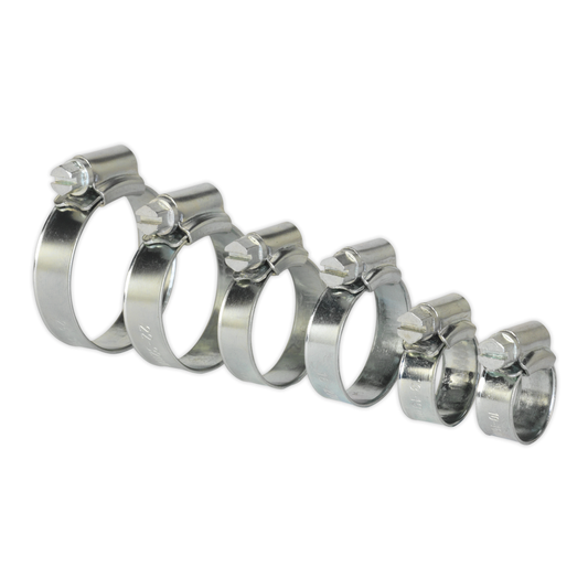 Sealey SHCS1 Zinc Plated Hose Clip Assortment 8-29mm 30pc