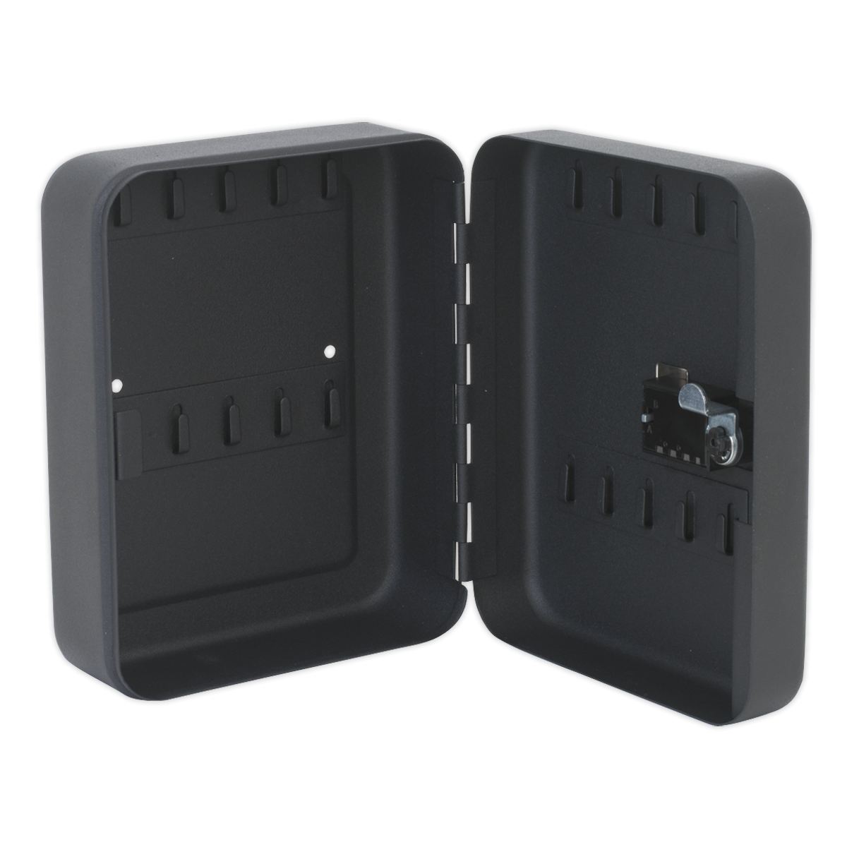 Sealey SKC820 Key Cabinet with Tumbler Lock 20 Key Capacity