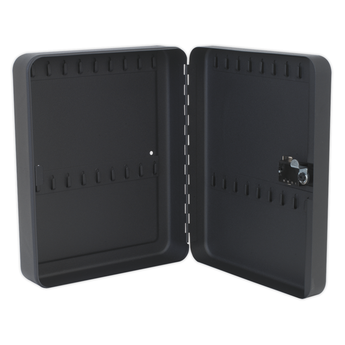 Sealey SKC836 Key Cabinet with Tumbler Lock 36 Key Capacity