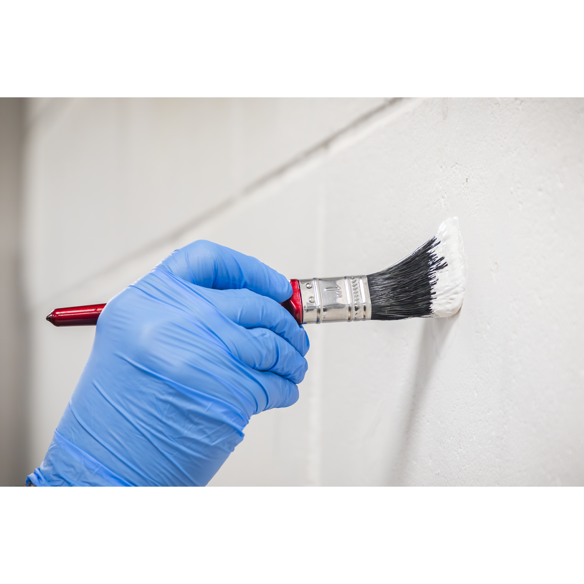 Sealey SPB25S Pure Bristle Paint Brush 25mm - Pack of 10