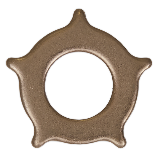 Sealey SR2000.SW Star Washer for SR2000 - Pack of 10