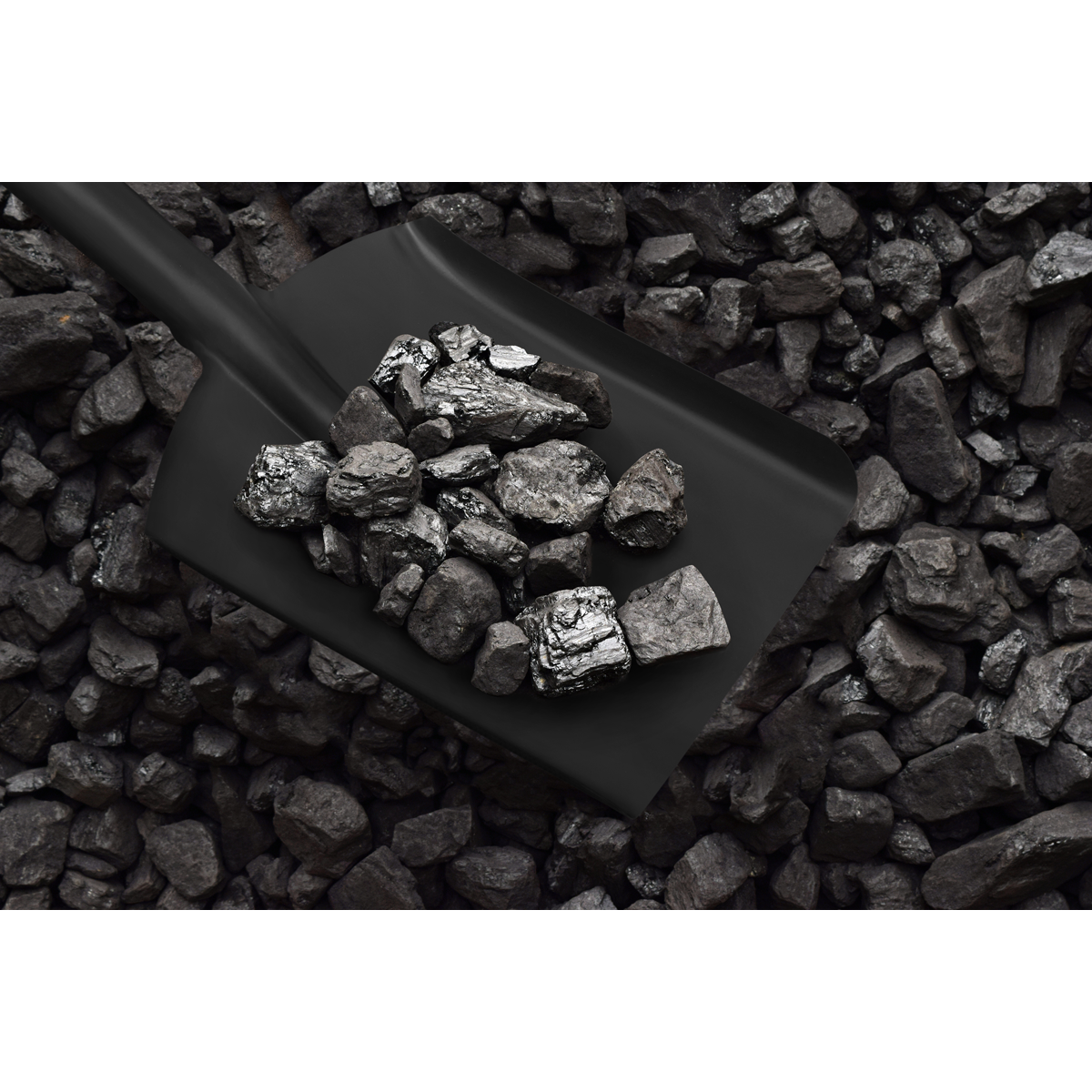 Sealey SS08 Coal Shovel 6" with 185mm Handle