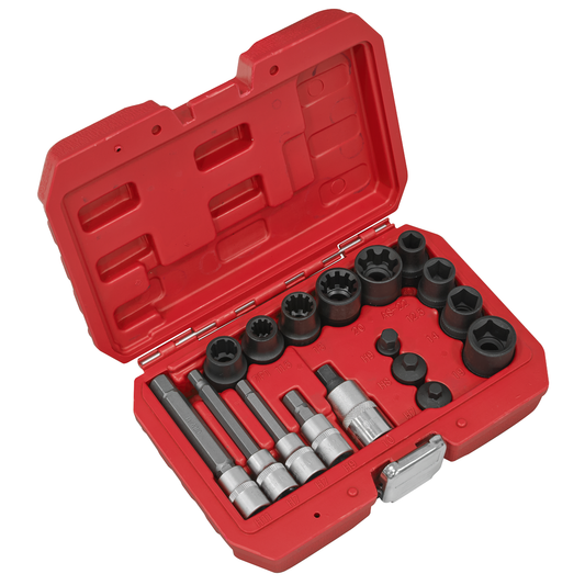Sealey VS0465 Brake Caliper Socket Set 17pc