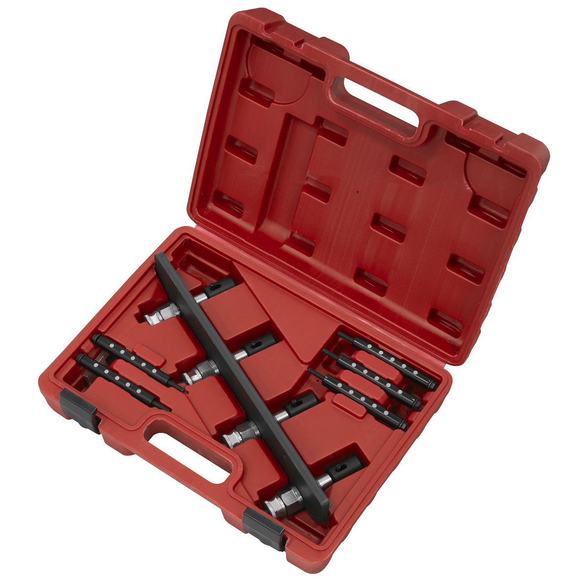 Sealey VS2081 Petrol Fuel Injection Removal/Installation Kit for BMW & Mini