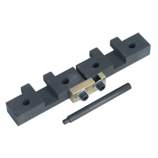 Sealey VSE4425 Petrol Engine Timing Tool Kit for BMW M42/M50/M52/M52TU/M54/M56 - Chain Drive