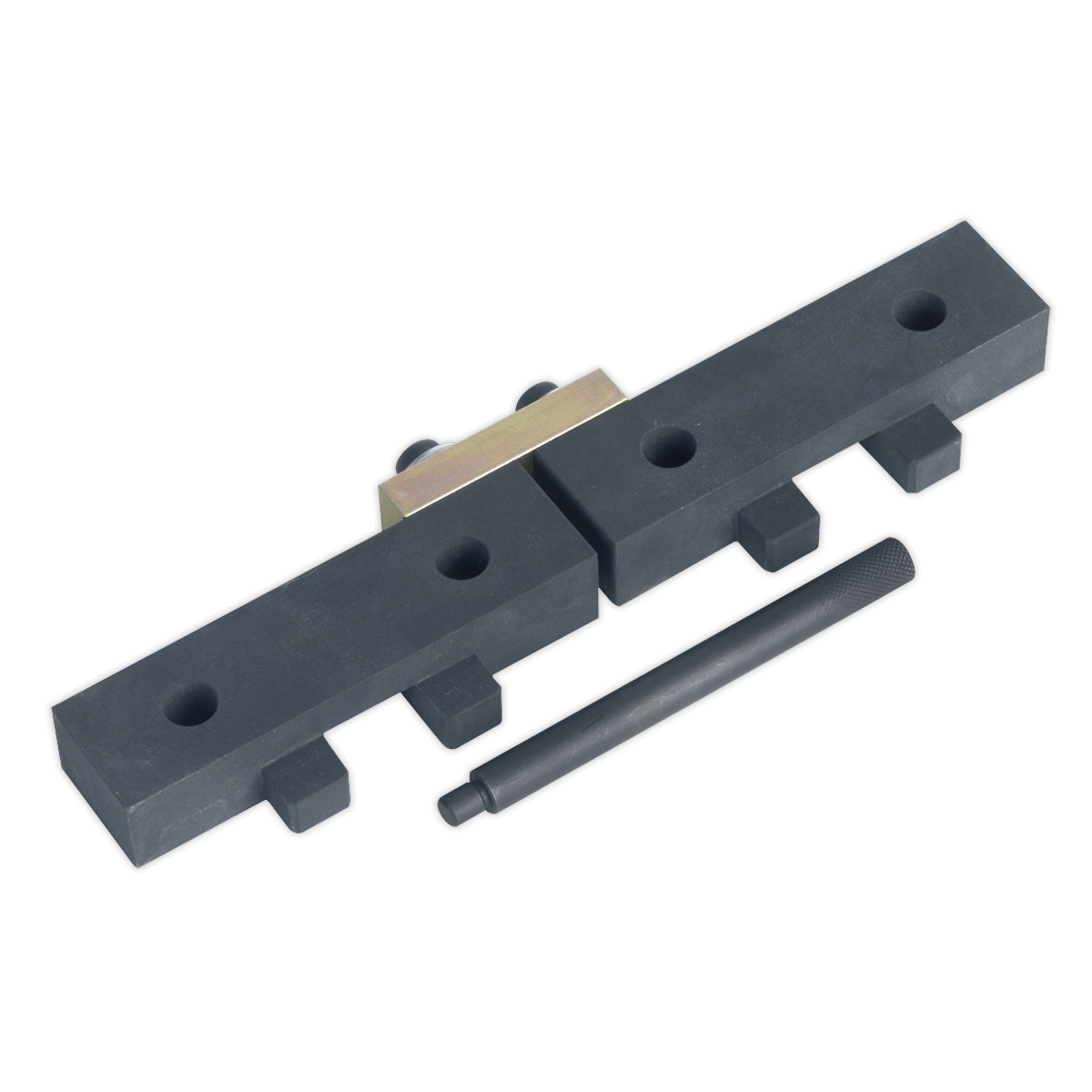 Sealey VSE4425 Petrol Engine Timing Tool Kit for BMW M42/M50/M52/M52TU/M54/M56 - Chain Drive