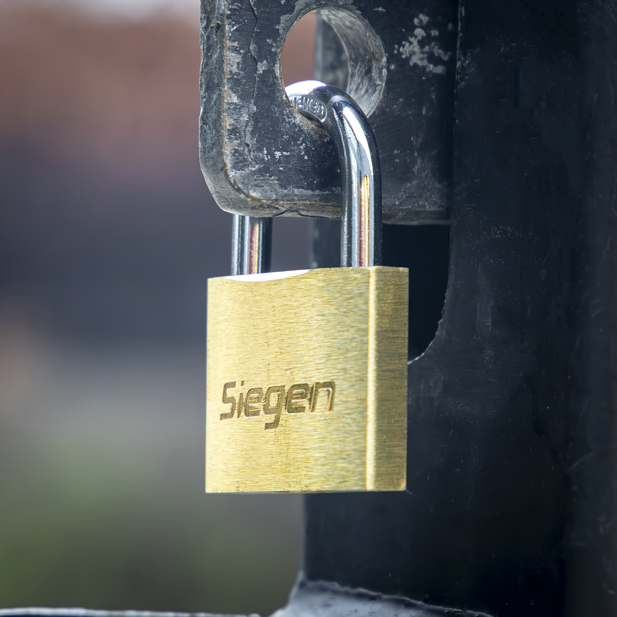 Siegen S0987 Siegen Brass Body Padlock with Brass Cylinder 40mm
