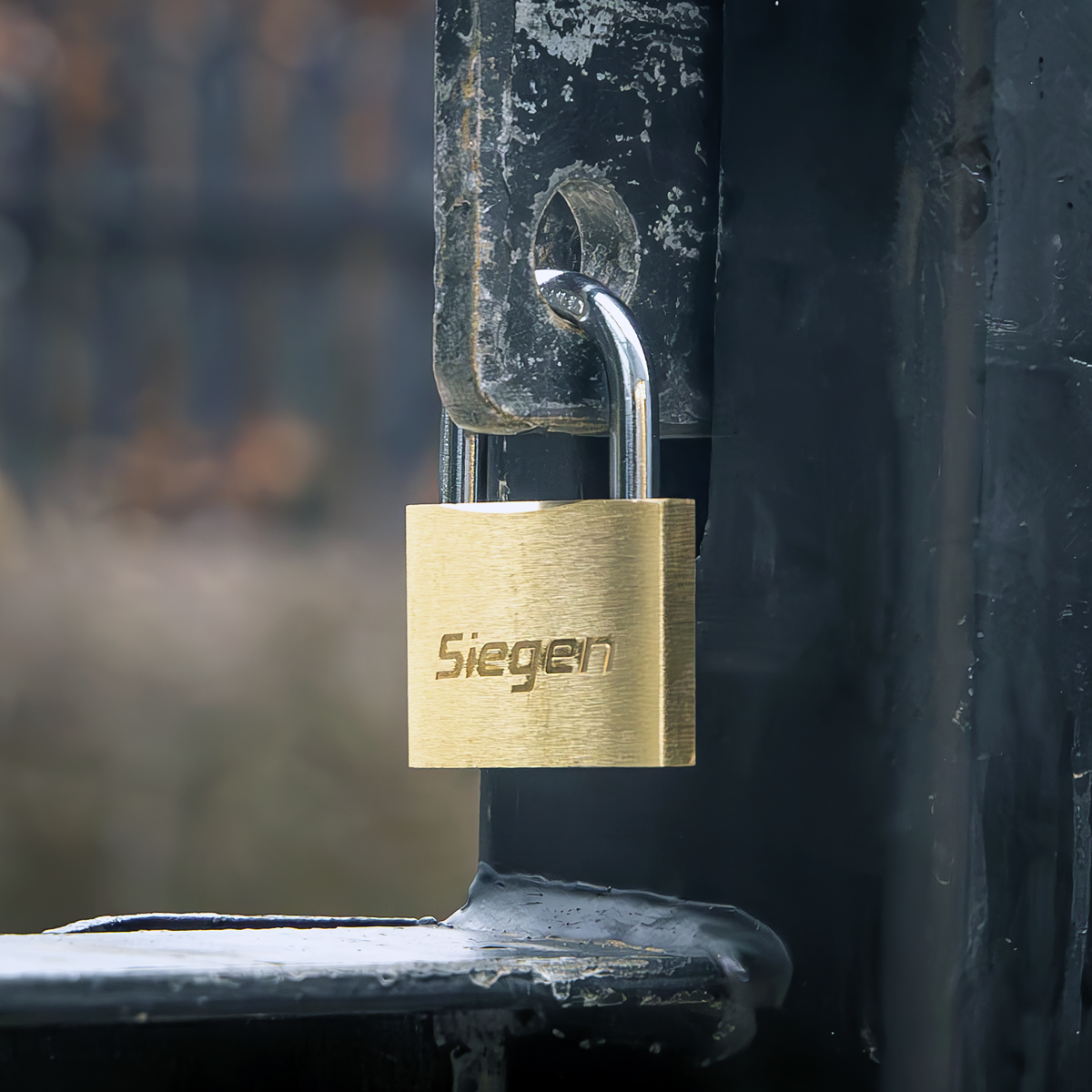 Siegen S0987 Siegen Brass Body Padlock with Brass Cylinder 40mm