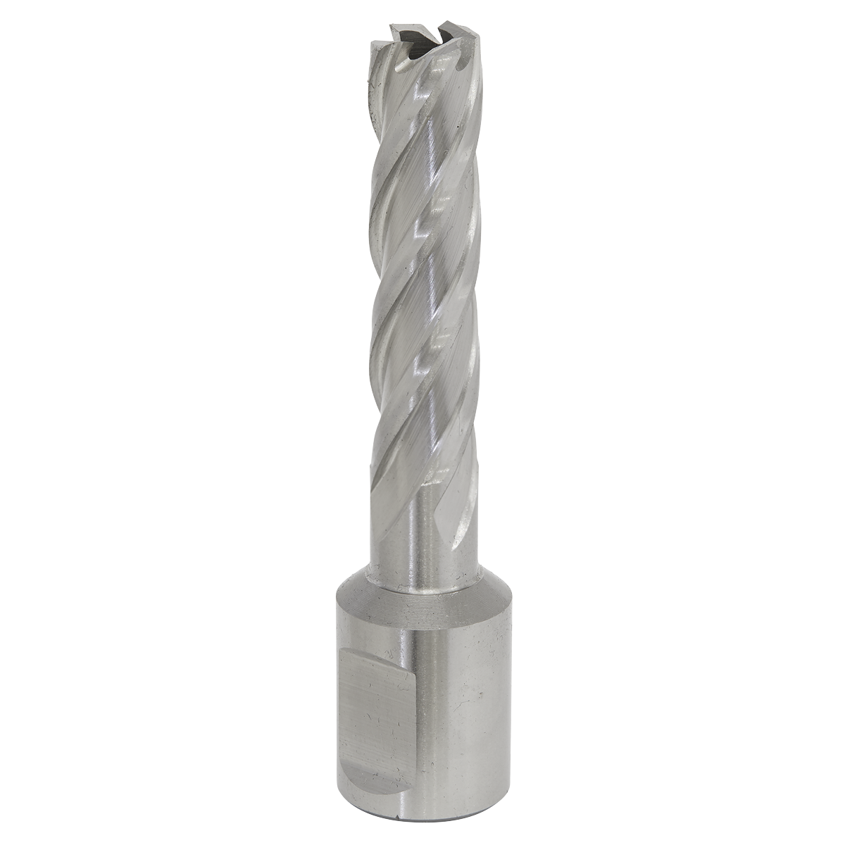 Worksafe RBHSS12L Worksafe® 12mm HSS Mag Drill Bit Cut Depth 50mm
