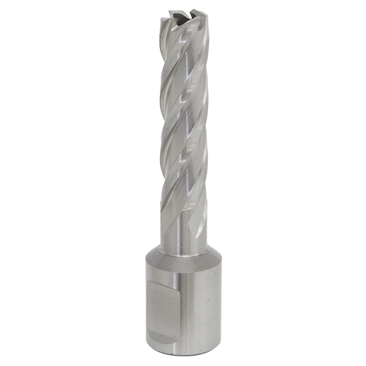 Worksafe RBHSS12L Worksafe® 12mm HSS Mag Drill Bit Cut Depth 50mm