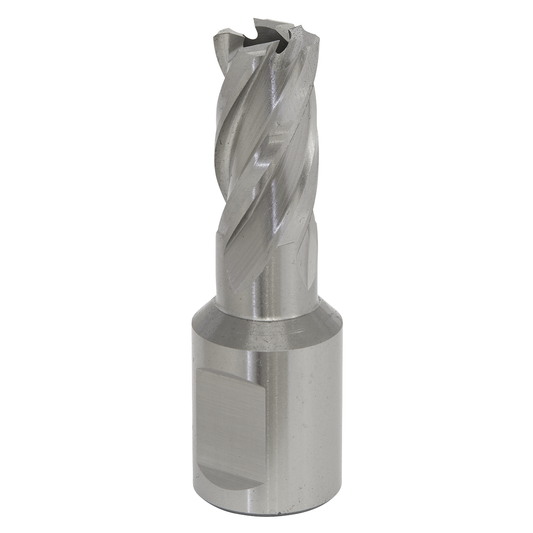 Worksafe RBHSS12S Worksafe® 12mm HSS Mag Drill Bit Cut Depth 25mm
