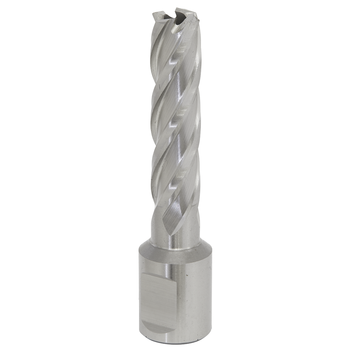 Worksafe RBHSS13L Worksafe® 13mm HSS Mag Drill Bit Cut Depth 50mm