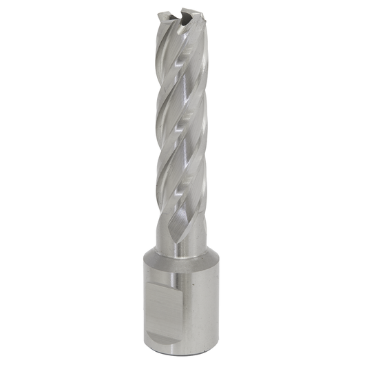 Worksafe RBHSS13L Worksafe® 13mm HSS Mag Drill Bit Cut Depth 50mm