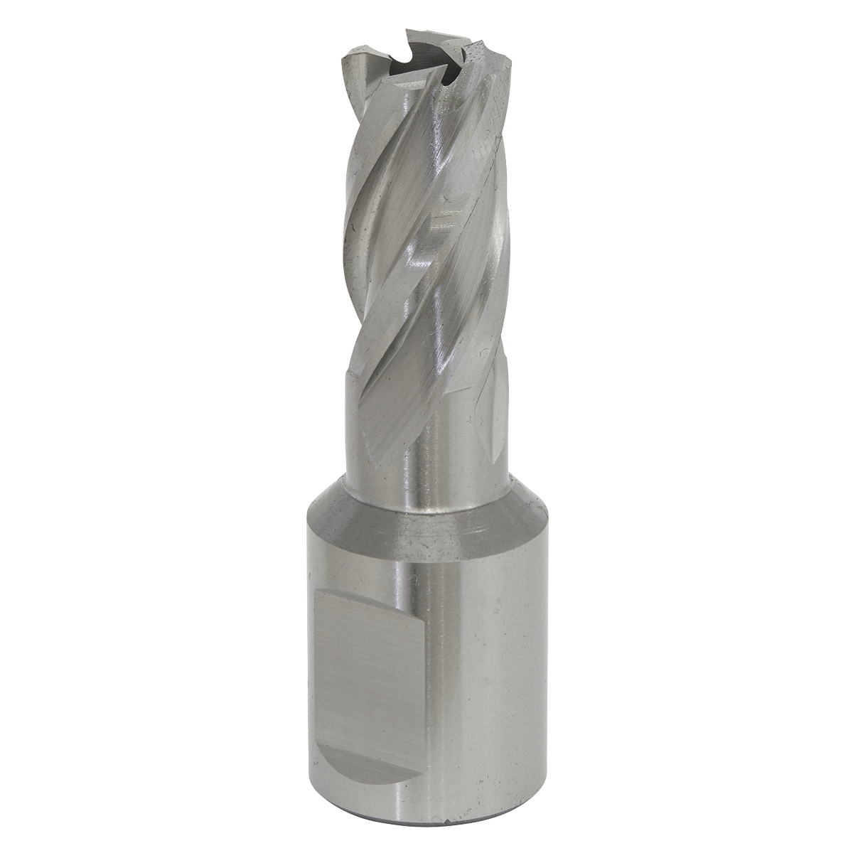 Worksafe RBHSS14S Worksafe® 14mm HSS Mag Drill Bit Cut Depth 25mm