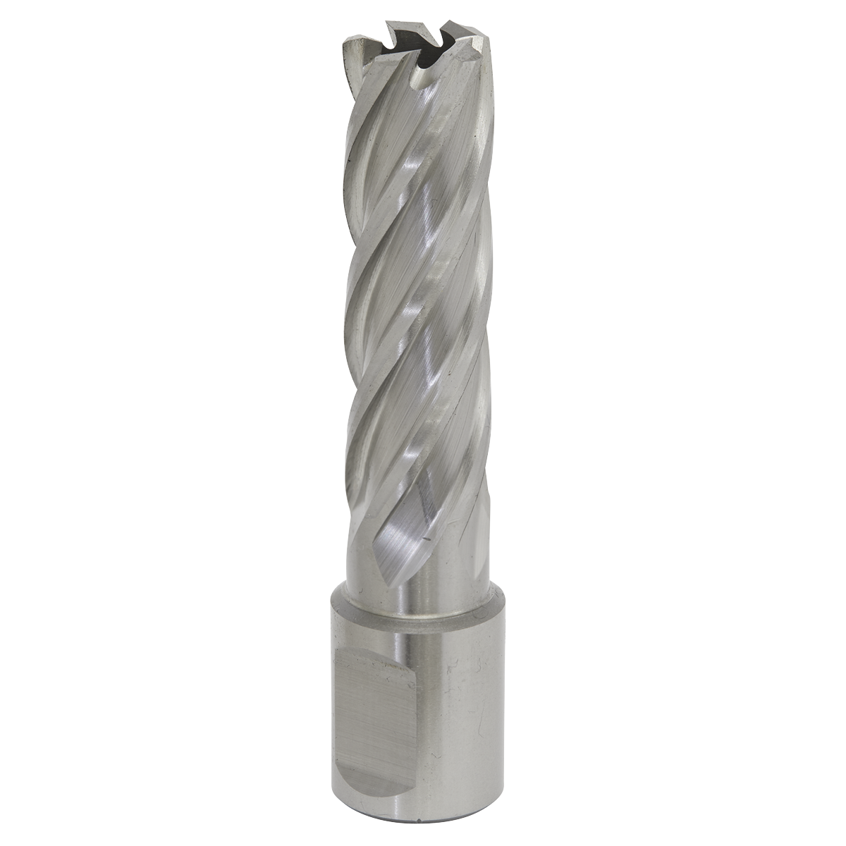 Worksafe RBHSS16L Worksafe® 16mm HSS Mag Drill Bit Cut Depth 50mm