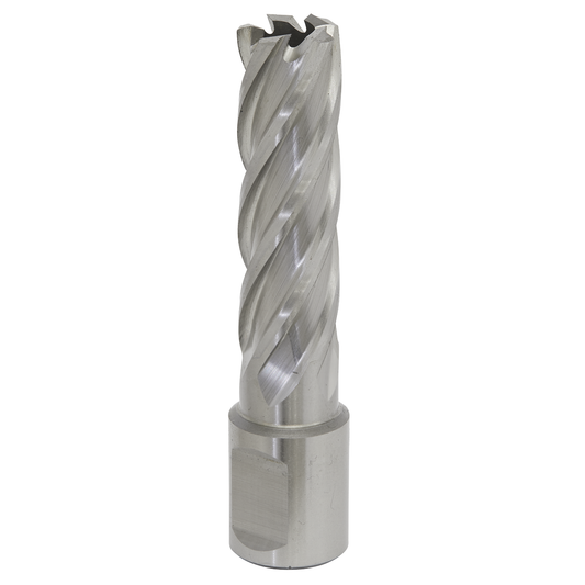 Worksafe RBHSS16L Worksafe® 16mm HSS Mag Drill Bit Cut Depth 50mm