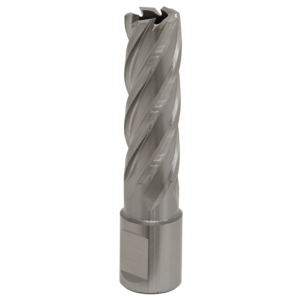 Worksafe RBHSS17L Worksafe® 17mm HSS Mag Drill Bit Cut Depth 50mm