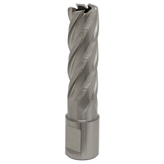 Worksafe RBHSS17L Worksafe® 17mm HSS Mag Drill Bit Cut Depth 50mm