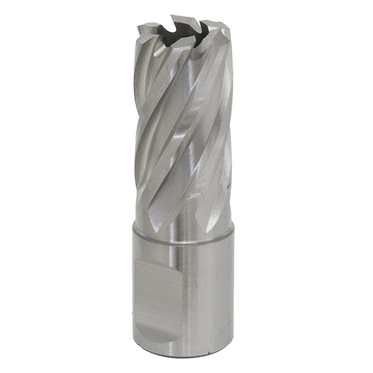 Worksafe RBHSS17S Worksafe® 17mm HSS Mag Drill Bit Cut Depth 25mm