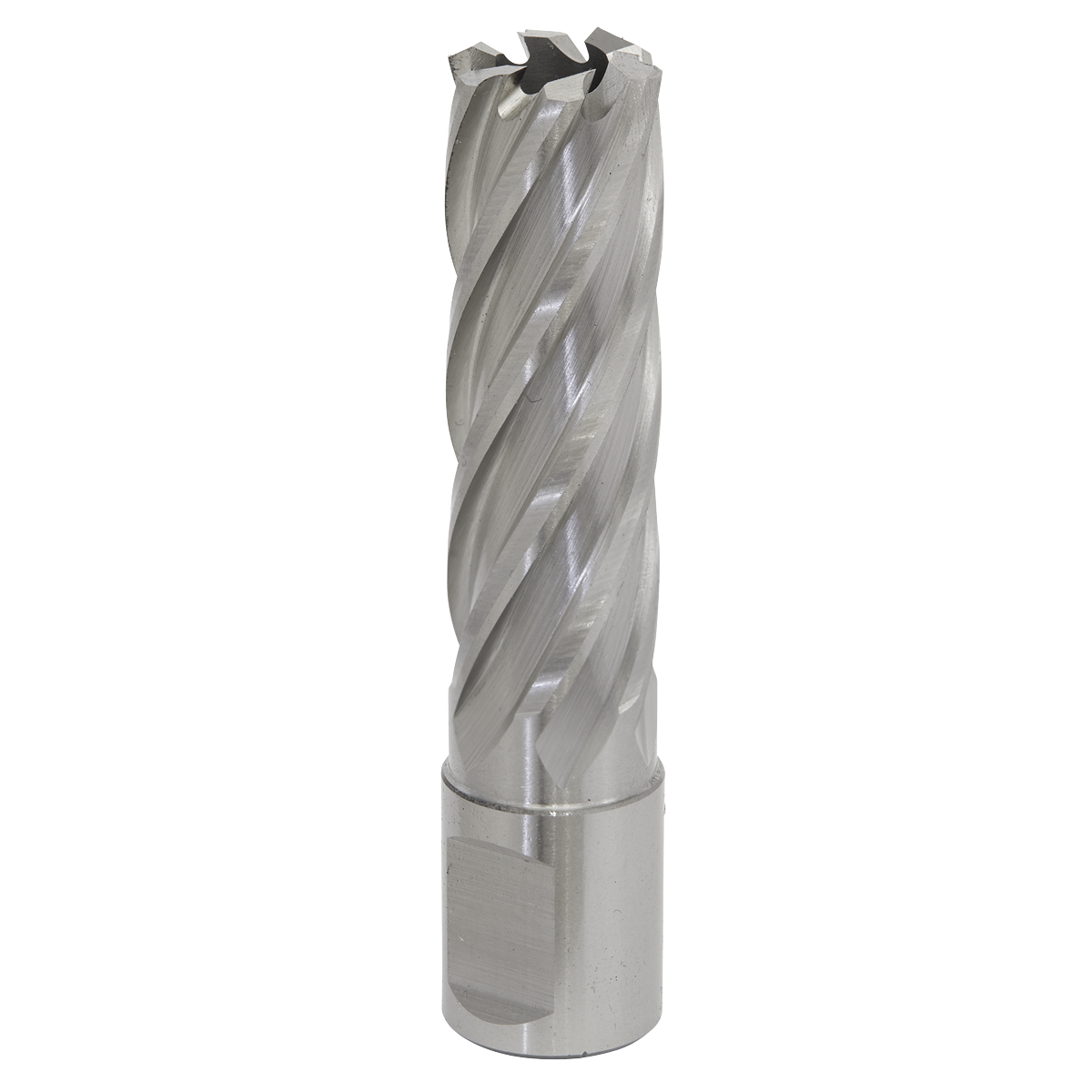 Worksafe RBHSS18L Worksafe® 18mm HSS Mag Drill Bit Cut Depth 50mm