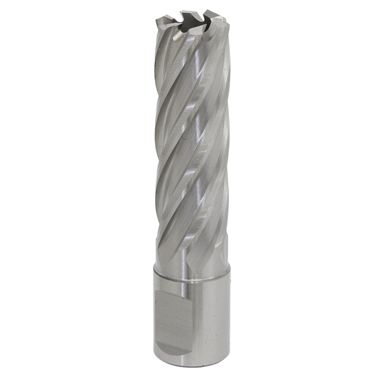 Worksafe RBHSS18L Worksafe® 18mm HSS Mag Drill Bit Cut Depth 50mm