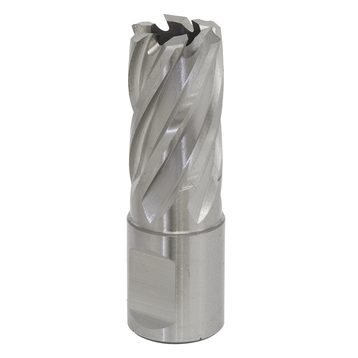 Worksafe RBHSS18S Worksafe® 18mm HSS Mag Drill Bit Cut Depth 25mm