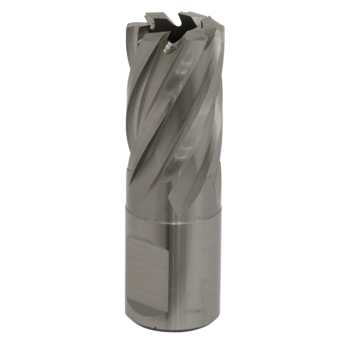 Worksafe RBHSS19S Worksafe® 19mm HSS Mag Drill Bit Cut Depth 25mm