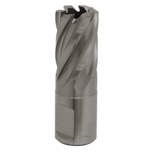 Worksafe RBHSS19S Worksafe® 19mm HSS Mag Drill Bit Cut Depth 25mm