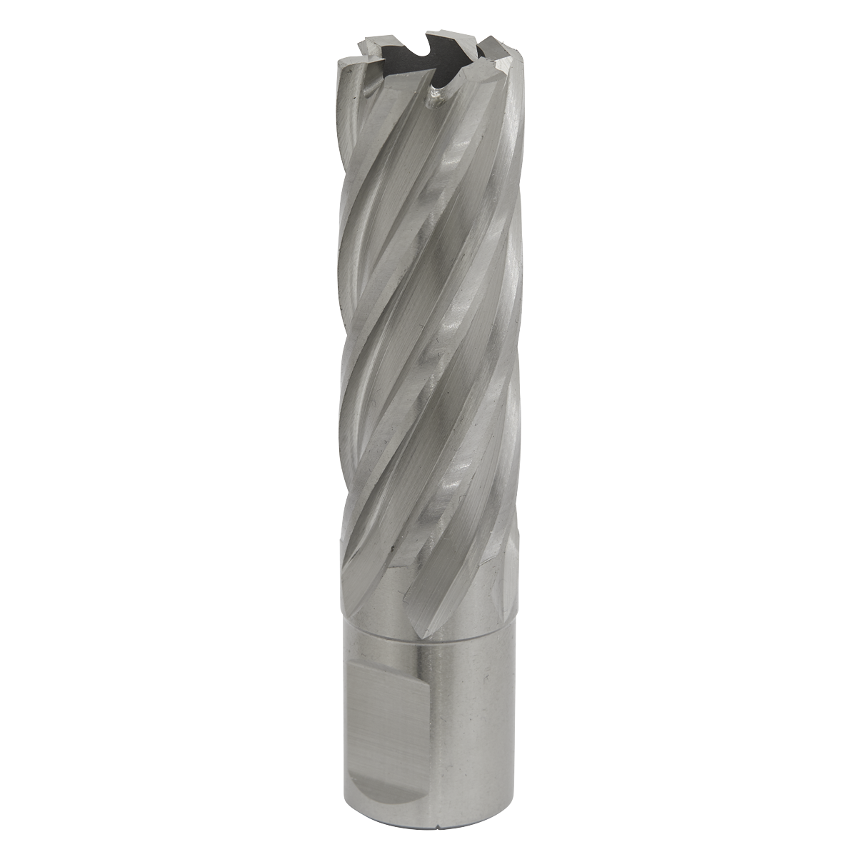 Worksafe RBHSS20L Worksafe® 20mm HSS Mag Drill Bit Cut Depth 50mm