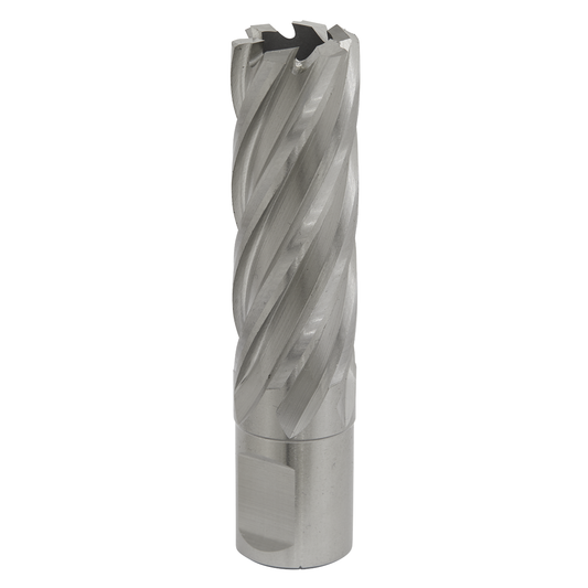 Worksafe RBHSS20L Worksafe® 20mm HSS Mag Drill Bit Cut Depth 50mm