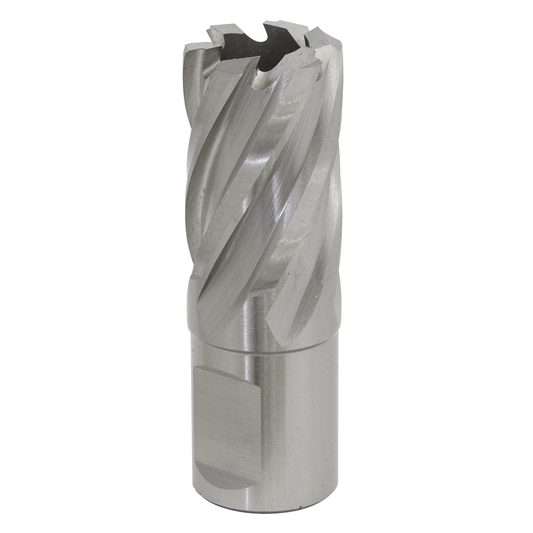 Worksafe RBHSS20S Worksafe® 20mm HSS Mag Drill Bit Cut Depth 25mm