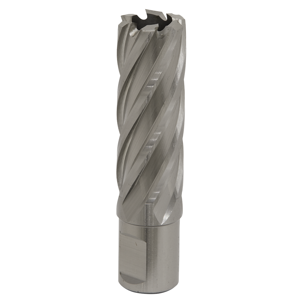 Worksafe RBHSS21L Worksafe® 21mm HSS Mag Drill Bit Cut Depth 50mm