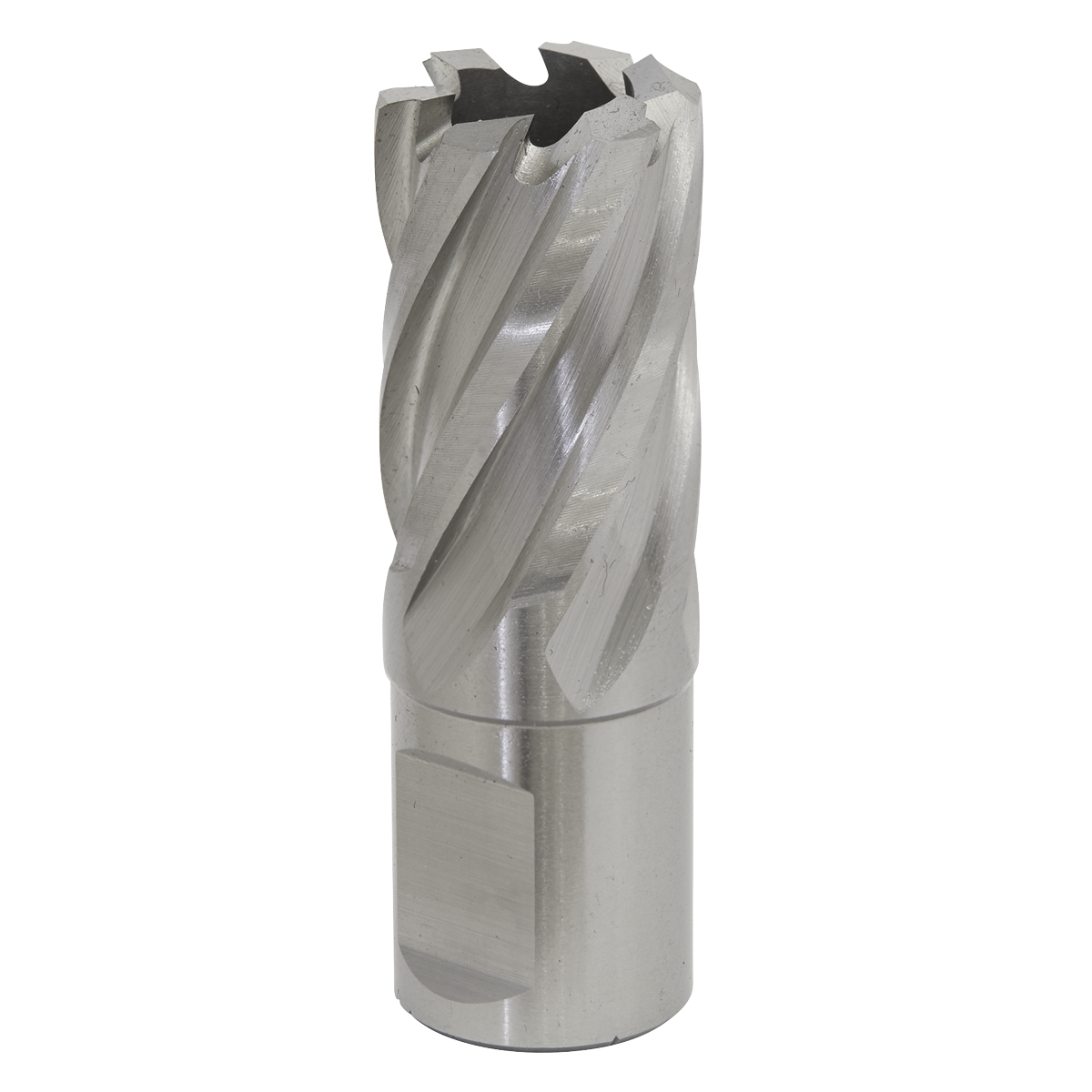 Worksafe RBHSS21S Worksafe® 21mm HSS Mag Drill Bit Cut Depth 25mm