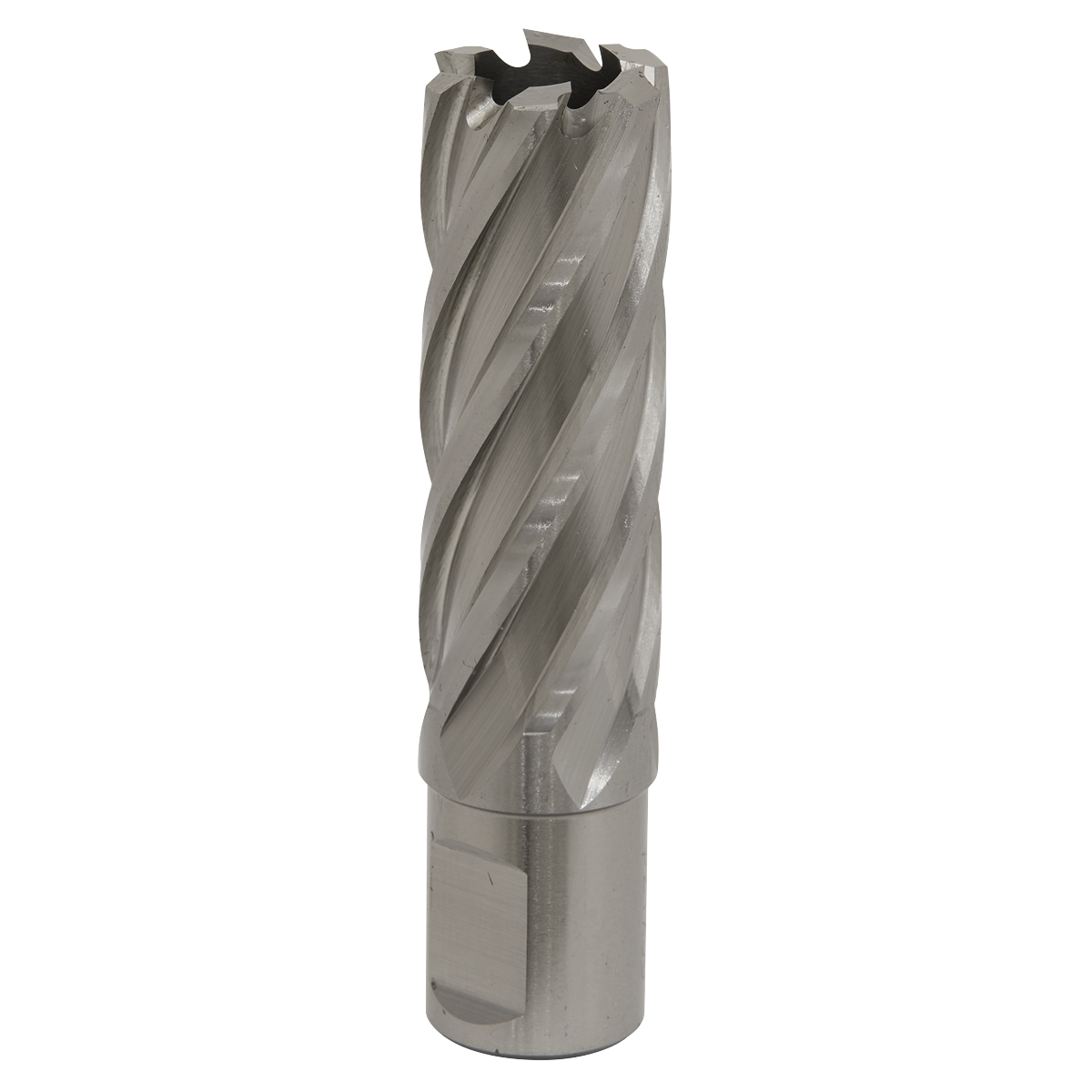 Worksafe RBHSS22L Worksafe® 22mm HSS Mag Drill Bit Cut Depth 50mm