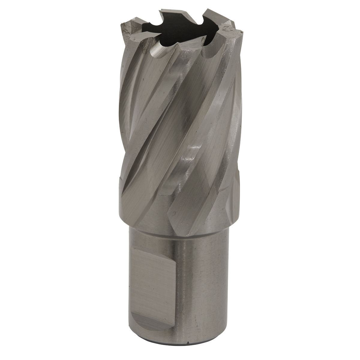 Worksafe RBHSS22S Worksafe® 22mm HSS Mag Drill Bit Cut Depth 25mm