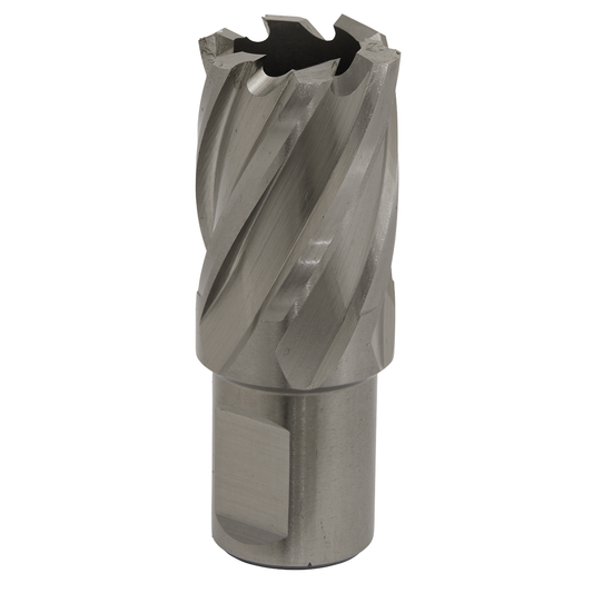 Worksafe RBHSS22S Worksafe® 22mm HSS Mag Drill Bit Cut Depth 25mm