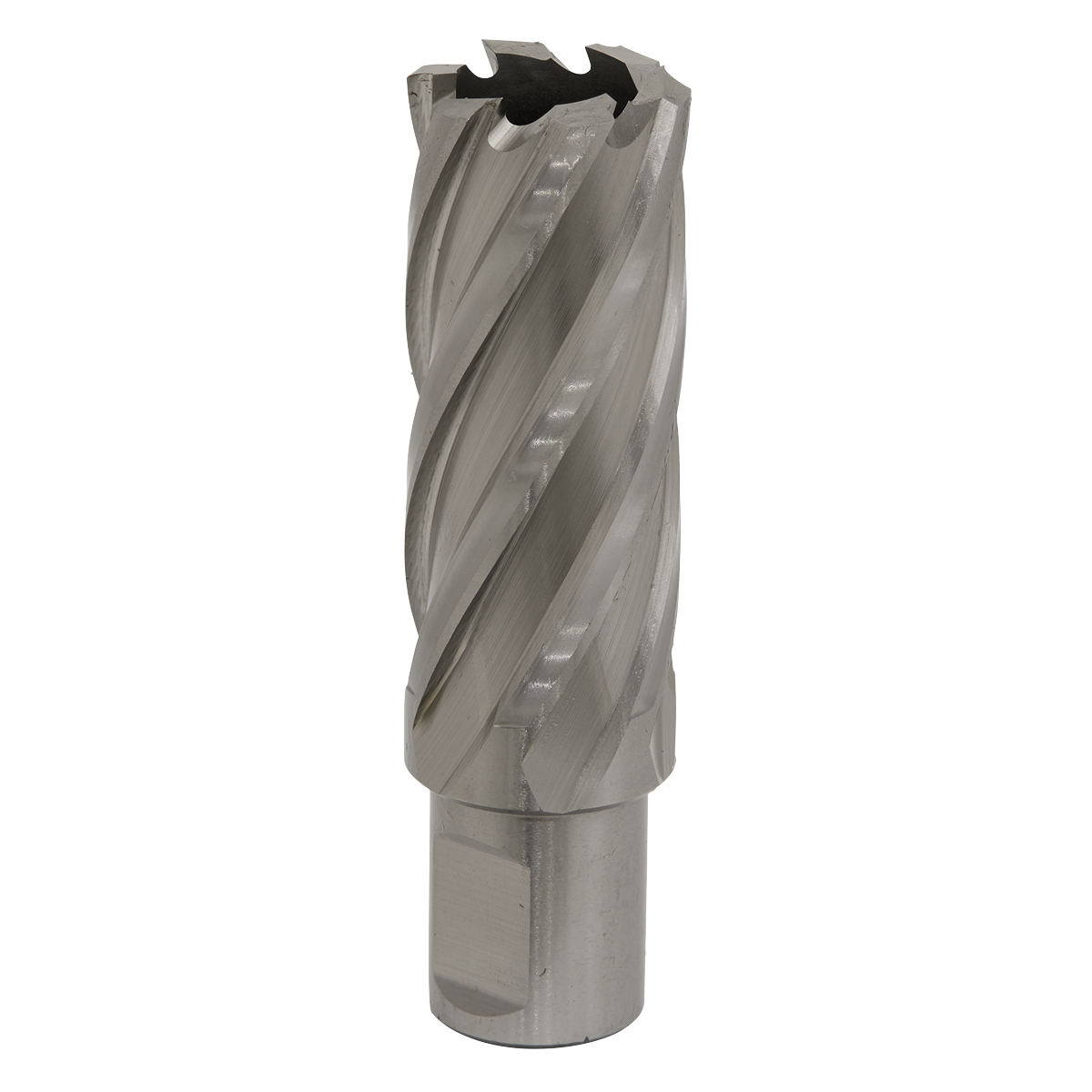 Worksafe RBHSS24L Worksafe® 24mm HSS Mag Drill Bit Cut Depth 50mm