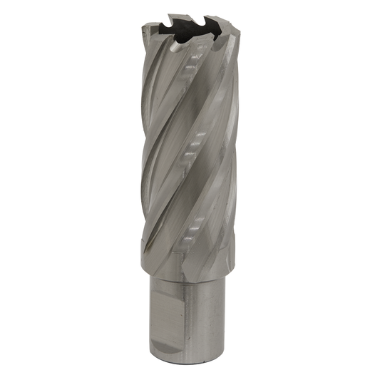 Worksafe RBHSS24L Worksafe® 24mm HSS Mag Drill Bit Cut Depth 50mm