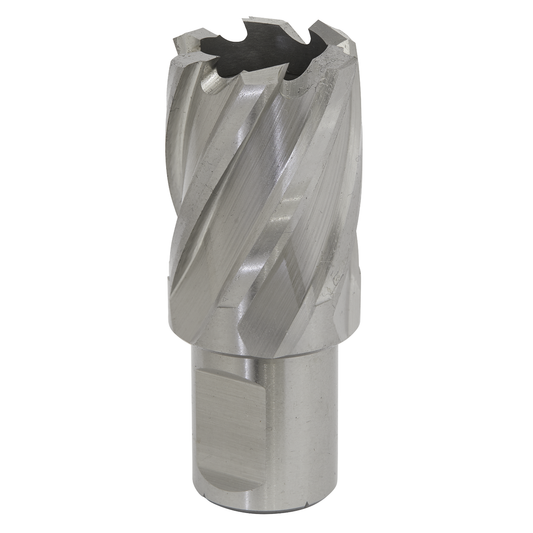 Worksafe RBHSS24S Worksafe® 24mm HSS Mag Drill Bit Cut Depth 25mm