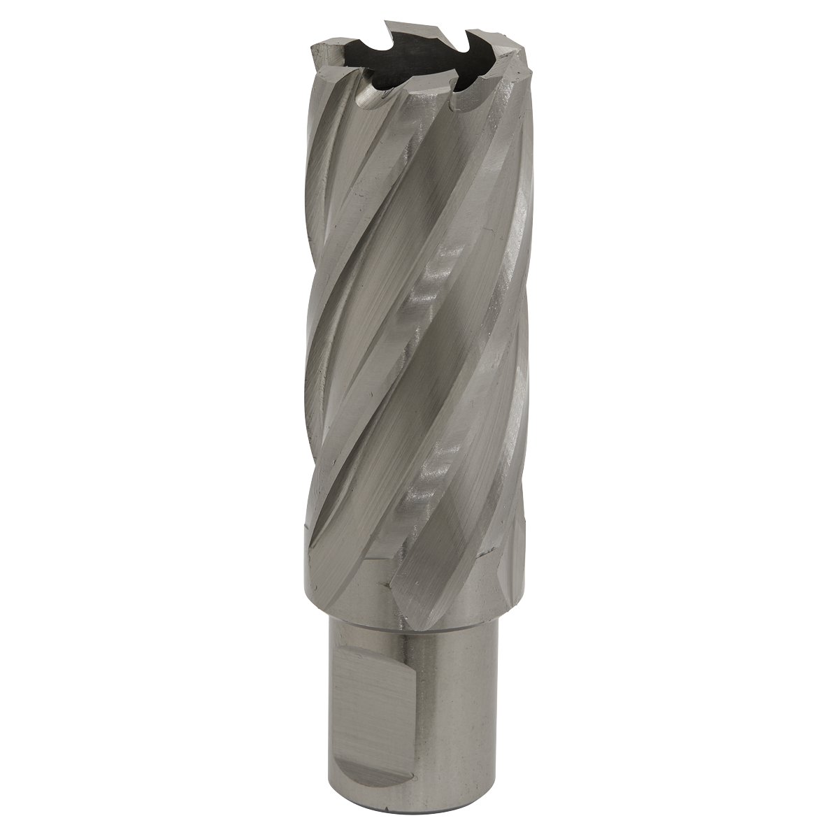 Worksafe RBHSS25L Worksafe® 25mm HSS Mag Drill Bit Cut Depth 50mm